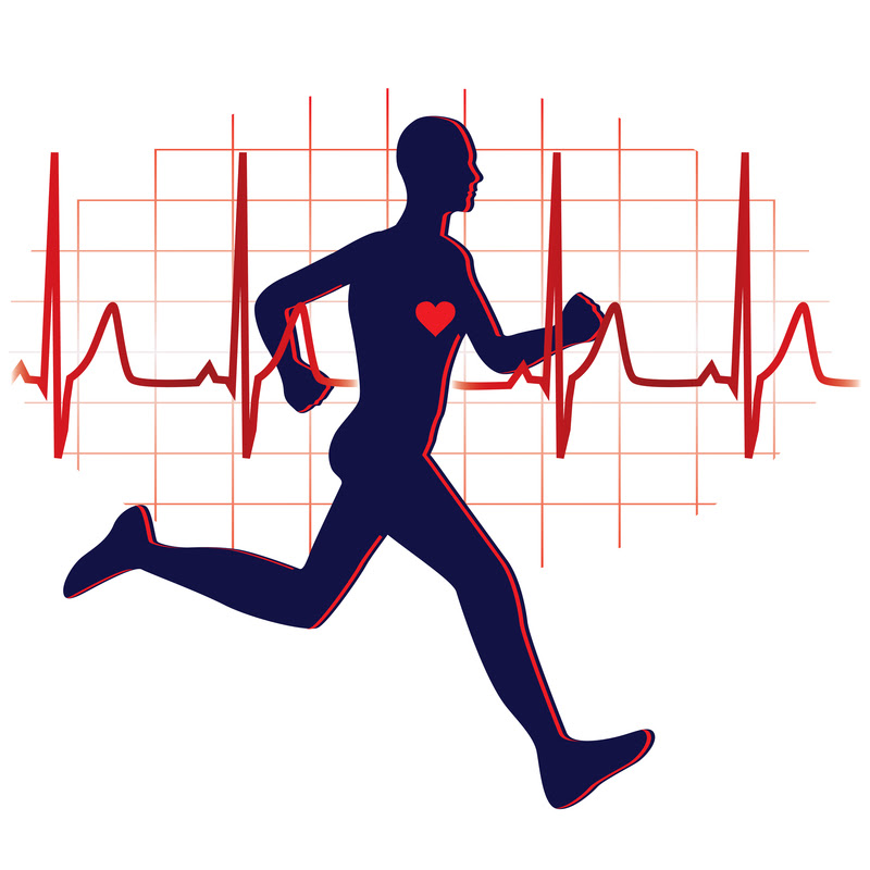athletes-heart-screening